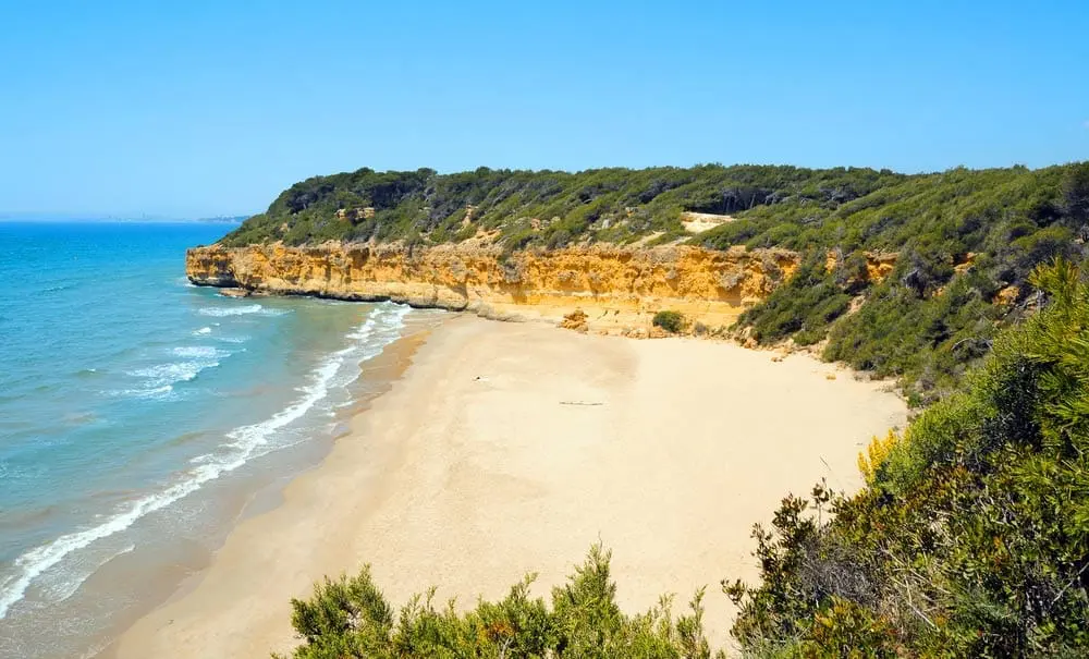 Marketing Digital y Consultoría para Alquiler Vacacional en la Costa Dorada